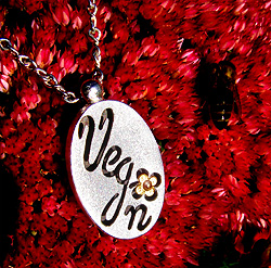 VP008-Copyright Kerstin Laibach